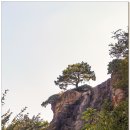 금호강강변공원 이미지