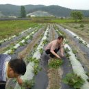 찬수농장 이미지