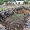 어도초등학교 병설유치원 이미지