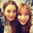 유하나 카카오 검색결과