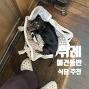 소코아위례 | [위례 애견동반 식당] 카레 밥 무료 리필 횟수는 어디까지?ㅣ소코아 위례점ㅣ위례 데이트 내돈내산 후기
