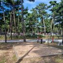 몽산포자동차야영장 이미지