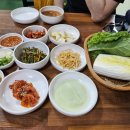 오보만족