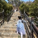 부평1동행정복지센터 문화마당 | [평택] 진위향교 '선비 문화마당' 체험 후기 (6세 아이와 함께 선비 체험)