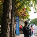 예술로 226번길 이미지