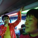 오동골2 Daum카페