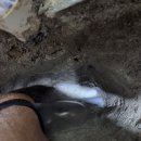 하나프라자 | 정확한 포인트 진단으로 깔끔하게 마무리한 누수 수리! 경기가스프라자에서 한 후기