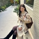 (주)라쿤소프트 | 12월 출근룩 데일리룩 (sie 시에 베뉴엣 그레이룸 yuere 유에르 르티에 드메리엘 브슈)