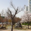 왕건공인중개사사무소 이미지