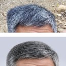정원사진관 이미지
