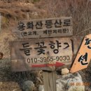 용화산들꽃향기