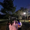 [제주도 캠핑] 모구리야영장에서 즐거웠던 할로윈 캠핑 (feat, 모구리야영장 금연구역에 대해서...)