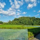 하늘농장 태양광발전소 | 태양광 발전소 준공검사 인허가 편백나무 출하