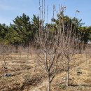 수양시장 이미지