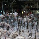 보물창고 이미지