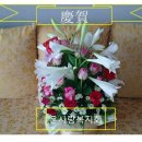 최영덕 축사 이미지