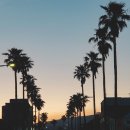 와이키키다이버스 이미지