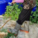 장화농장 | 주말농장 작업용 장화 미끄럼방지 장화 추천 코비산업안전 농사장화