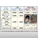 디자인해랑 | 동해여행) 겨울바다 보고싶어 떠난 강원도. 동해 묵호 도째비골, 해랑전망대 위치, 비용, 후기