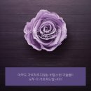 에셀학원