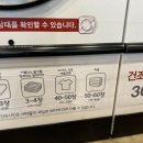 워시테리아올레