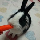 금비마트 이미지