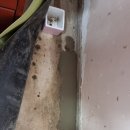 역곡현대3차아파트 이미지