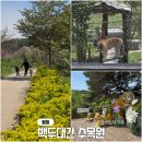 봉화카정비센타 | 호랑이 볼수 있는 봉화 국립 백두대간수목원, 아이랑 방문 후기