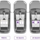 옐로우 켄넬 | 중대형견 카시트 추천ㅣ퍼플앤코 카시트 사용 찐 후기..💛