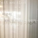 저스트피티스튜디오