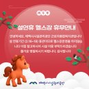 태백시근로자종합복지관 이미지