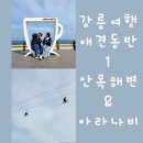 아라나비 강릉점