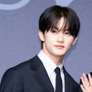 브이마크 이미지