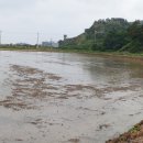 백수읍사무소 이미지