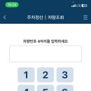 동광장 티스토리