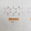328p) 방향족 탄화수소(나프탈렌, 안트라센, 페난트렌) 이미지