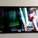 대전유아사 이미지