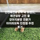 강아지분양 애견입양 아이러브독 인천점 | 인천애견분양의 새 트렌드, 애견입양 고민 끝 강아지분양 전문가 아이러브독 인천점 추천 후기