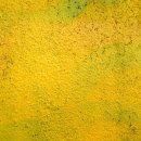 제주우리동물병원 이미지