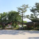 덕소자연사박물관 네이버블로그