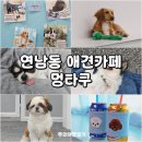 멍타쿠 이미지