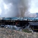 김기성 농장 이미지