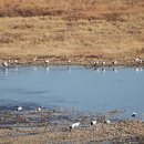 예지유통 이미지