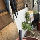 레드포스PC아레나목포터미널점 이미지