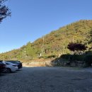 밀양9 | 경남 밀양 / 동물들이 있는 ‘밀양 9 카페’ 평일 아기랑 방문 후기