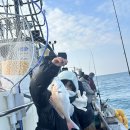 만수낚시터 | 준초보 마태공의 바다낚시 기록 | 강진, 완도, 군산, 인천, 제주도까지 물고기 소탕작전