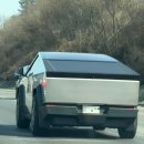 1 | 평창 모나용평 1박후기