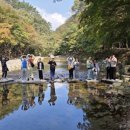 효천태권도장 이미지