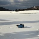 STUDIOMOBE반치옥사진관 이미지