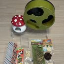 도리순이 이미지